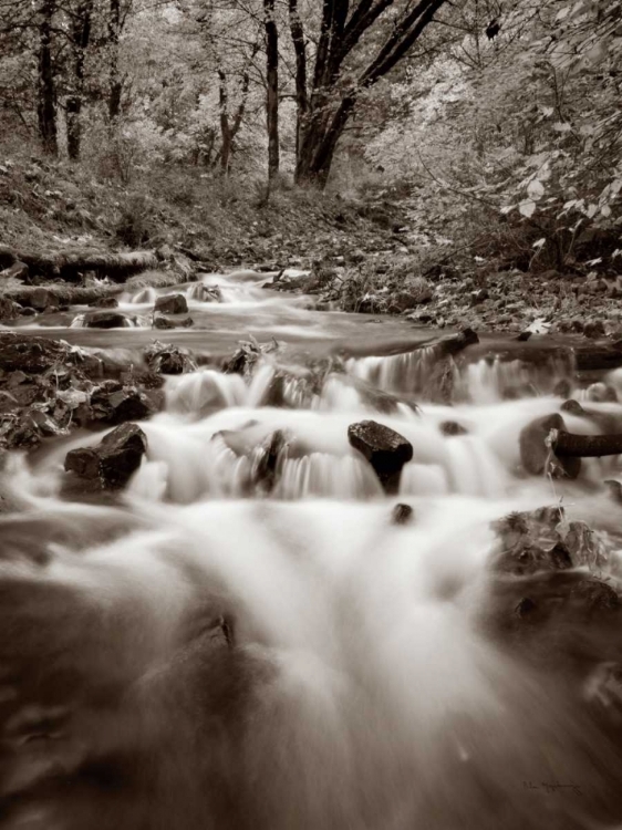 Picture of WAHKEENA CREEK