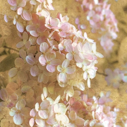 Picture of GILDED HYDRANGEA I