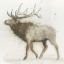 Picture of ELK V.2 