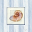 Picture of SANIBEL SHELL III