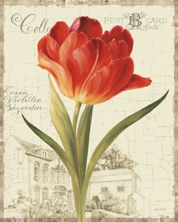 Picture of GARDEN VIEW III - RED TULIP