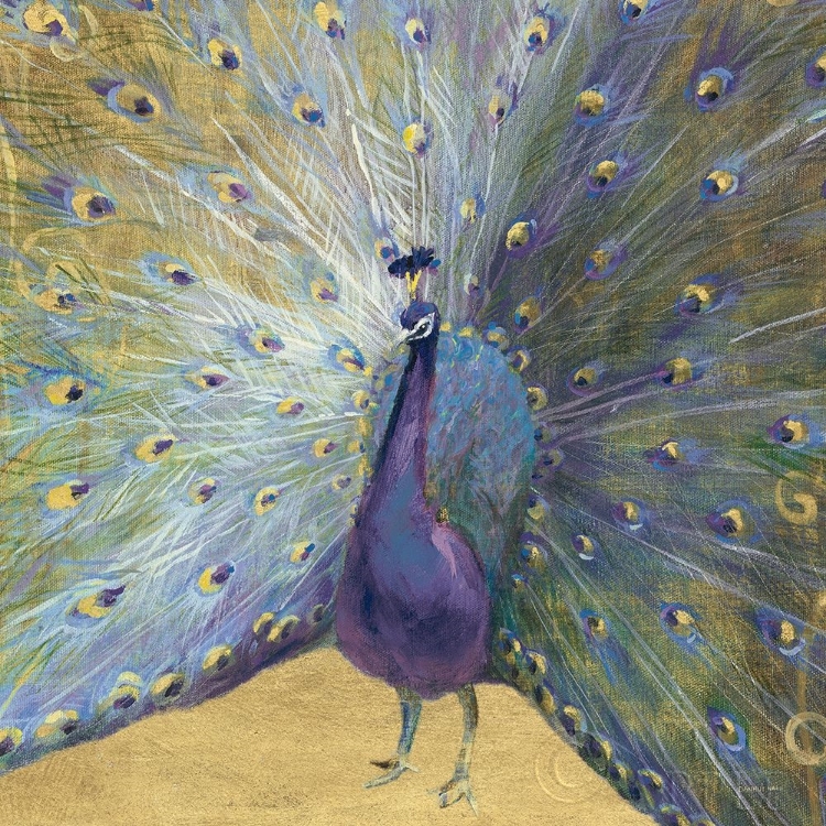 Picture of PURPLE AND GOLD PEACOCK