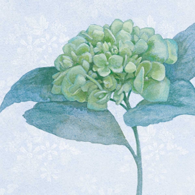 Picture of BLUE HYDRANGEA II