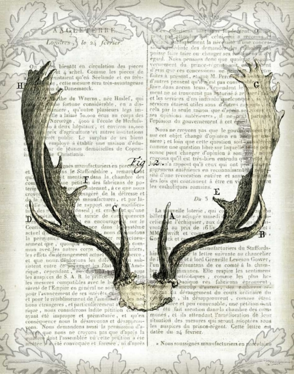 Picture of REGAL ANTLERS ON NEWSPRINT II