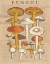 Picture of FUNGHI VELENOSI II