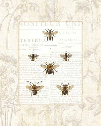 Picture of BEE BOTANICAL