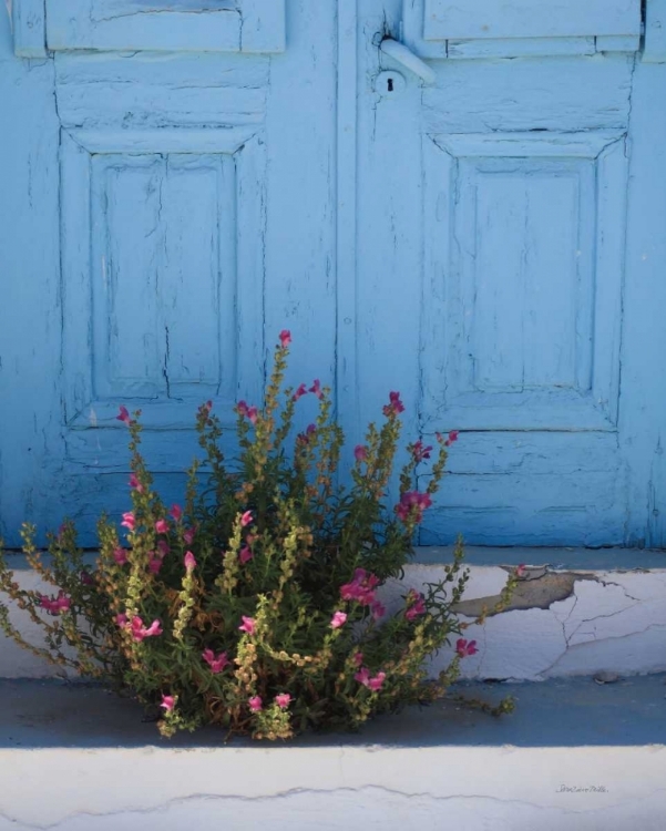 Picture of SANTORINI I CROP