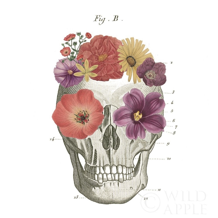 Picture of FLORAL SKULL II