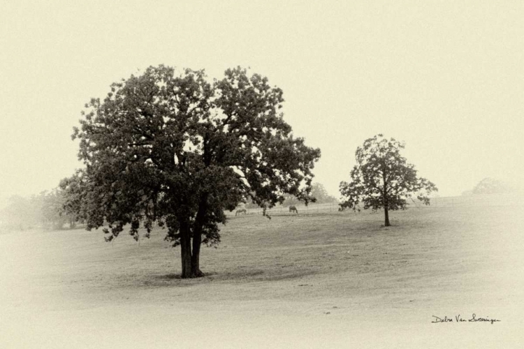 Picture of HORSES AND TRESS II