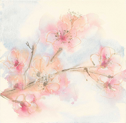 Picture of PINK BLOSSOMS II