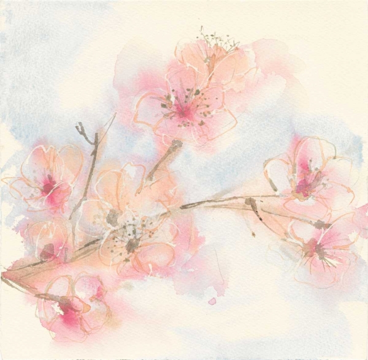 Picture of PINK BLOSSOMS II