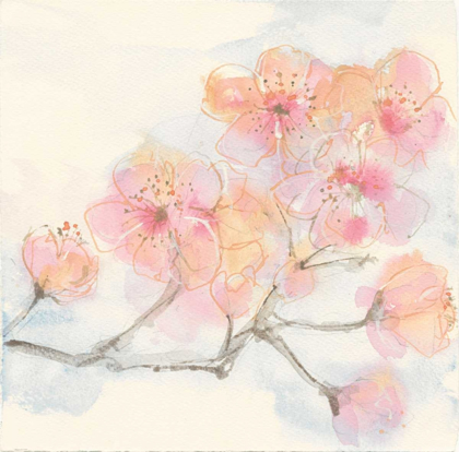 Picture of PINK BLOSSOMS III