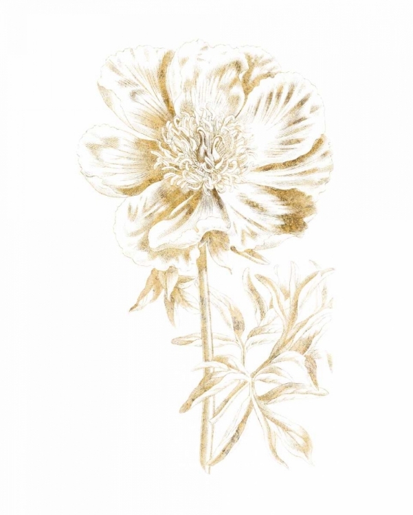 Picture of GILDED BOTANICAL VIII