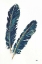 Picture of GOLD FEATHERS IV INDIGO