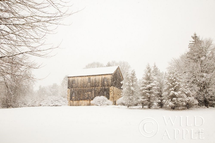 Picture of FIRST SNOW