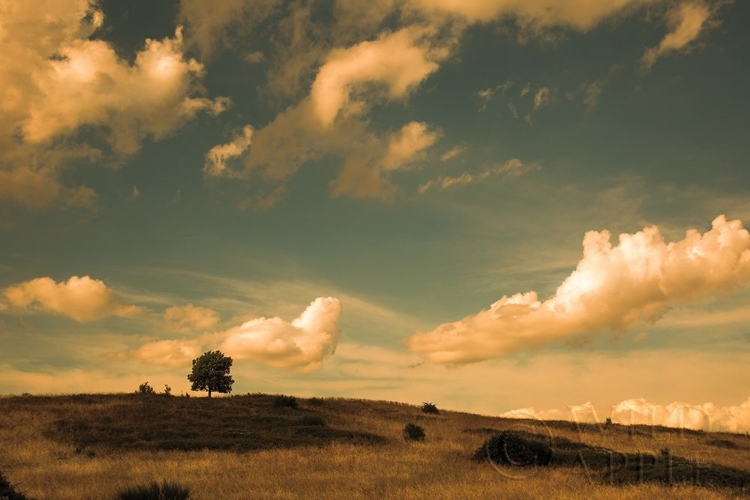 Picture of WHAT BEAUTIFUL CLOUDS