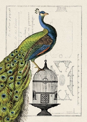 Picture of PEACOCK BIRDCAGE I