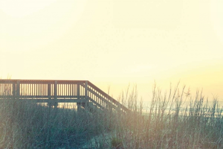 Picture of BOARDWALK TO THE BEACH