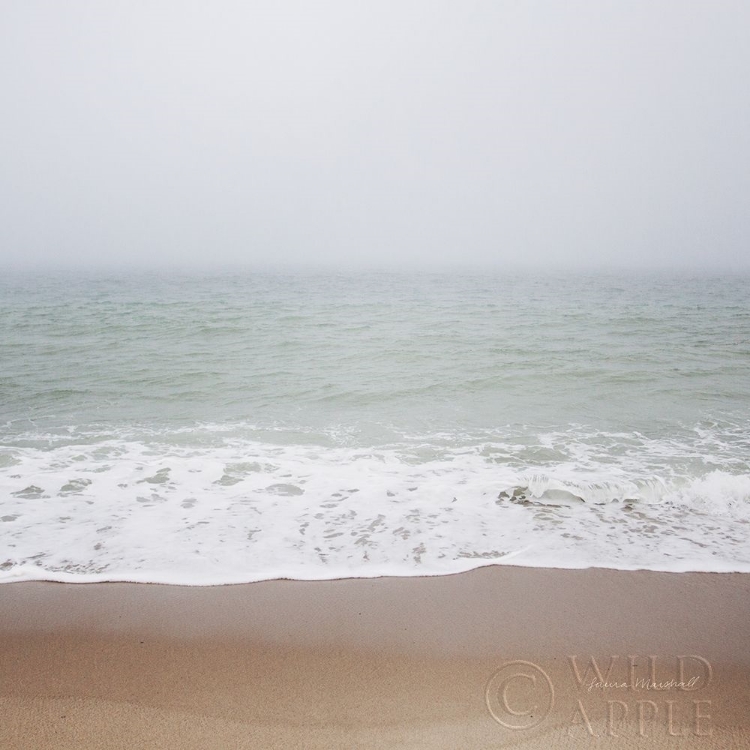 Picture of WALK ON THE BEACH