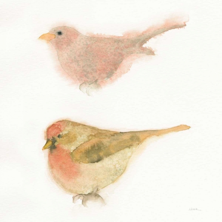 Picture of WATERCOLOR BIRDS II SQ