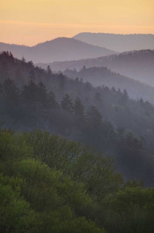 Picture of NORTH CAROLINA OCONALUFTEE OVERLOOK AT SUNRISE