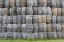 Picture of CA, SAN LUIS OBISPO CO, STACKS OF WINE BARRELS