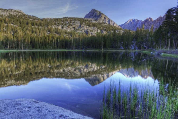 Picture of CALIFORNIA, SIERRA NEVADA GRASS LAKE REFLECTION