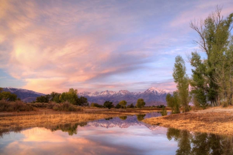 Picture of CALIFORNIA, BISHOP SIERRA MTS FROM FARMERS POND