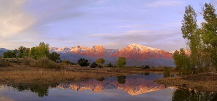 Picture of CALIFORNIA, BISHOP SIERRA MTS FROM FARMERS POND