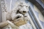 Picture of ITALY, PISA A GARGOYLE ABOVE DOOR OF DUOMO PISA