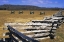 Picture of ARKANSAS SPLIT-RAIL FENCE AND CIVIL WAR CANNONS