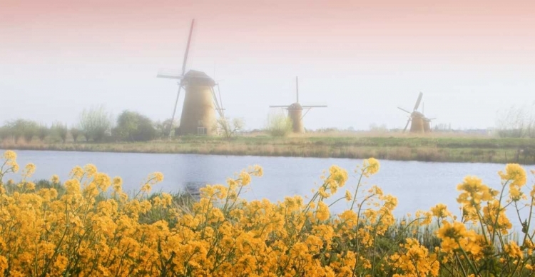 Picture of NETHERLANDS, KINDERDIJK WINDMILLS NEXT TO STREAM