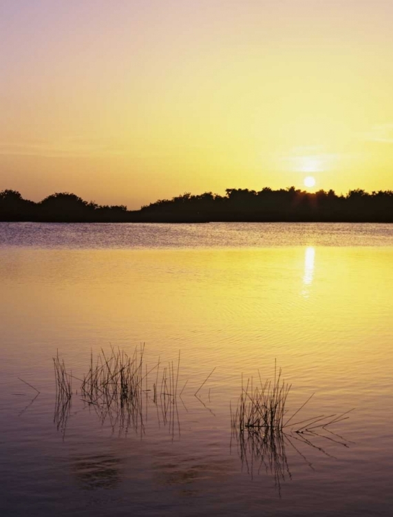 Picture of FLORIDA, EVERGLADES NP SUNSET REFLECTION ON LAKE