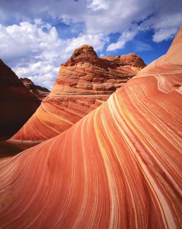 Picture of UTAH, PARIA CANYON THE WAVE FORMATION, SANDSTONE