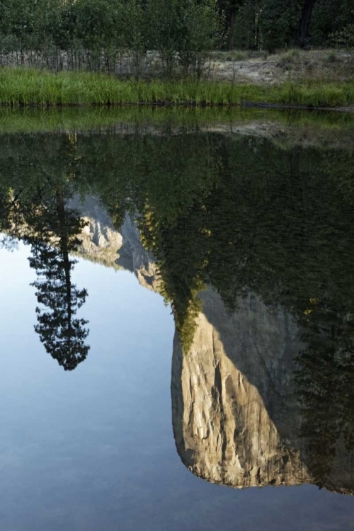 Picture of CALIFORNIA, YOSEMITE EL CAPITAN AND MERCED RIVER