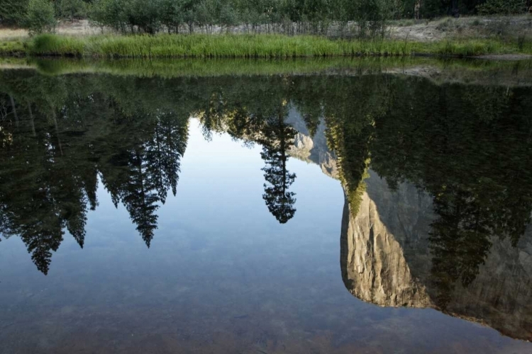 Picture of CALIFORNIA, YOSEMITE EL CAPITAN AND MERCED RIVER