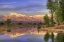 Picture of CA, BISHOP REFLECTION OF MT TOM IN FARMERS POND