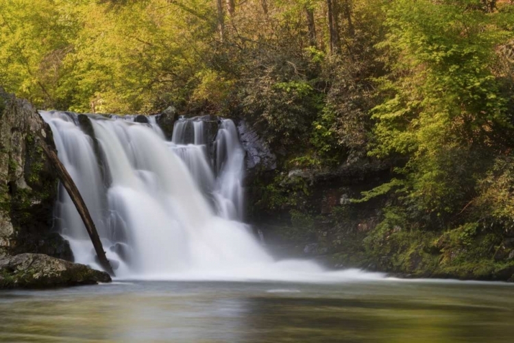 Picture of TENNESSEE, GREAT SMOKY MTS ABRAMS FALLS