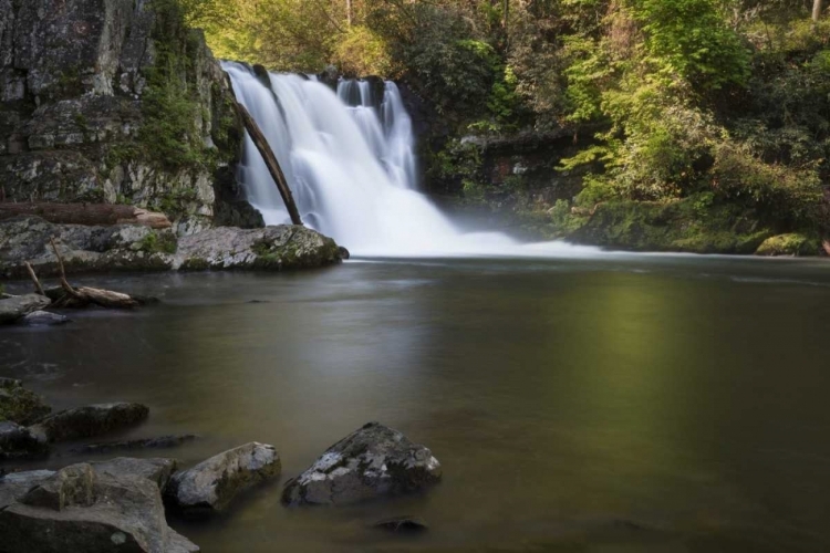 Picture of TENNESSEE, GREAT SMOKY MTS ABRAMS FALLS