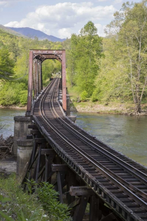 Picture of NORTH CAROLINA ABANDONED RAILROAD TRESTLE