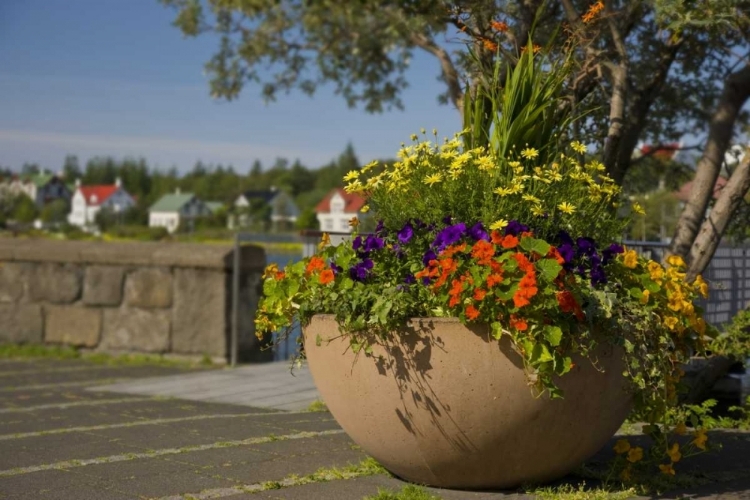 Picture of ICELAND, REYKJAVIK A LARGE FLOWER-FILLED VASE