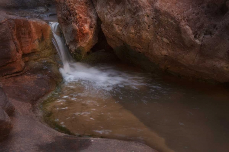 Picture of ARIZONA, GRAND CANYON FLOWING ROYAL ARCH CREEK