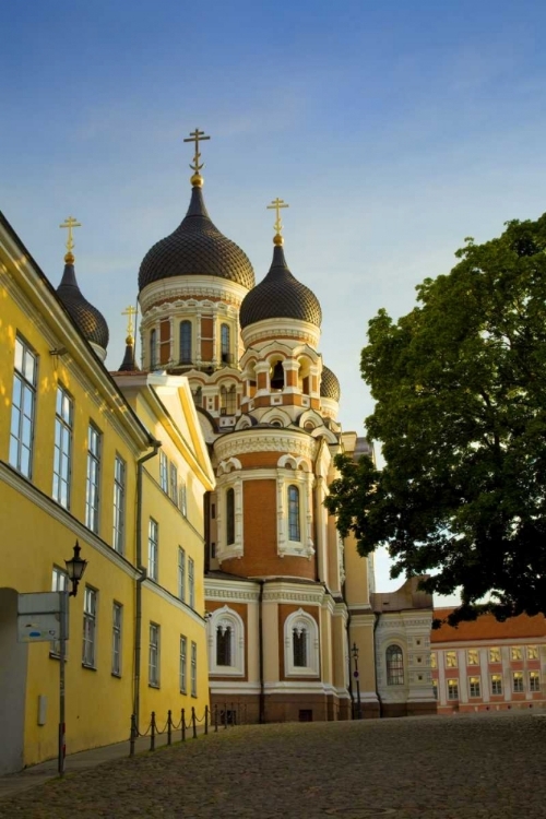 Picture of ESTONIA, TALLINN ALEXANDER NEVSKY CATHEDRAL