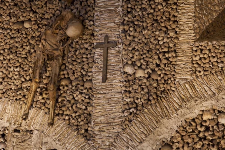 Picture of PORTUGAL, EVORA BONES IN SAN FRANCISCO CHURCH