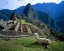 Picture of PERU A LLAMA ON A HILL OVERLOOKING MACHU PICCHU