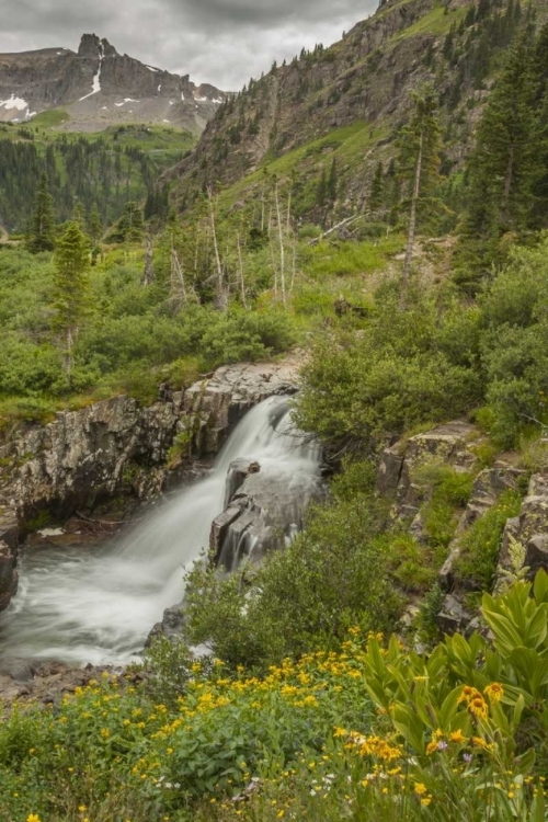 Picture of CO, SAN JUAN MTS WATERFALL IN YANKEE BOY BASIN