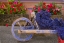 Picture of FRANCE, PROVENCE, SAULT CART WITH FRESH LAVENDER