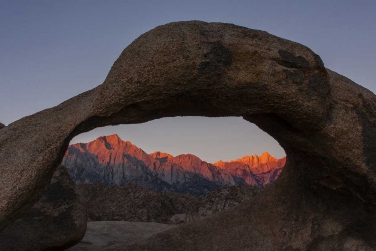 Picture of CA, ALABAMA HILLS MT WHITNEY FROM MOBIUS ARCH