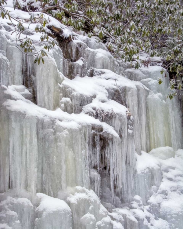 Picture of WEST VIRGINIA, BLACKWATER FALLS FROZEN WATERFALL