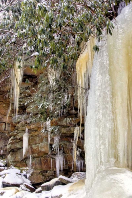 Picture of WEST VIRGINIA, BLACKWATER FALLS FROZEN WATERFALL